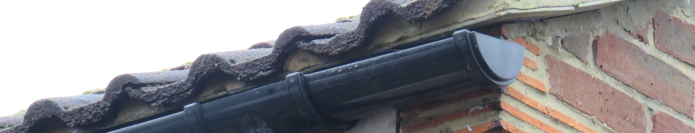 Image Gallery tec-nut.com for London Guttering Services -  Gutter installation, Simple Website, Website Builder,  Downpipe repairs, New Company, Free website template, New Website, Company Website,  Gutter cleaning,  Gutter repairs, Free Website, No Coding Website
